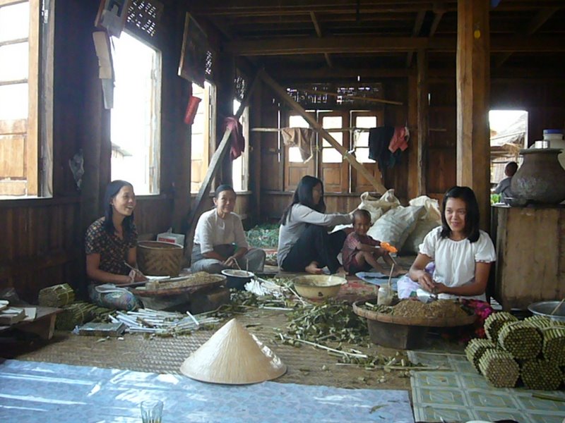 Travel - Myanmar - Inle Lake - Second Boat Trip - The Drivers Village - Drivers Family House and Fields